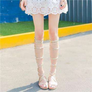 关于“开云电竞APP”截图